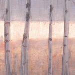 Betulle di Camilla Migliori